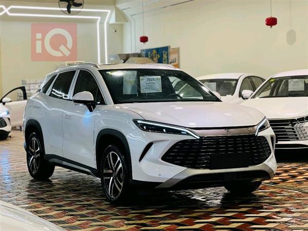 بي واي دي سونغ L DM-i 2025 للبيع في العراق - النجف